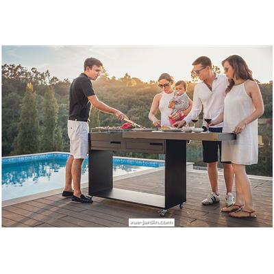 Barbecue Charbon de Bois Moderne Mobile GOB 01