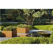 Bac / Jardinire Thallo Corten