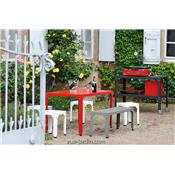 Table de Jardin Acier Galvanisé Hegoa 121x79